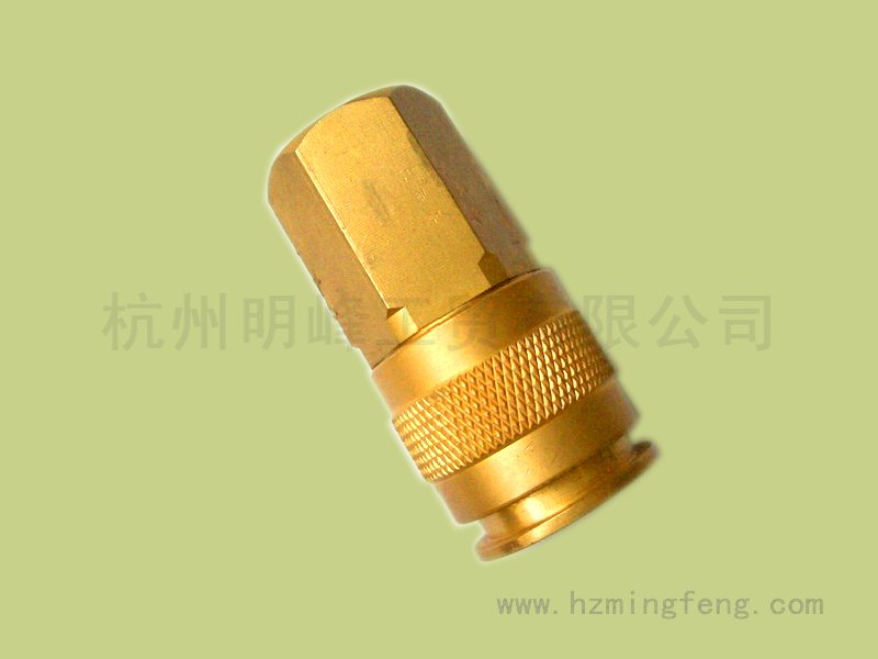 9002031 (23 European and American general bus connection npt1 / 4F)
