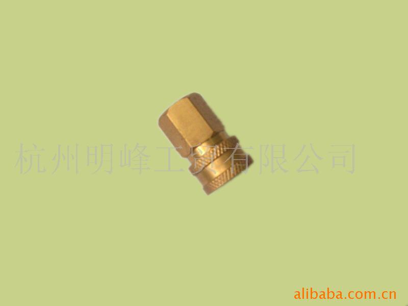 8040030(1/8內(nèi)螺紋直通液壓快接)